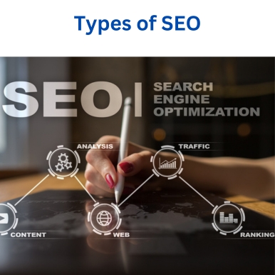 Best SEO Company In Morbi
